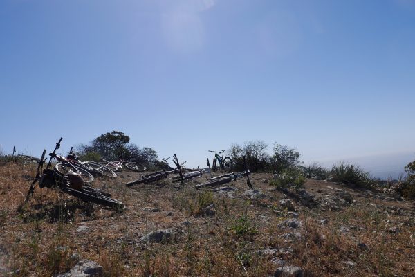 Topanga State Park