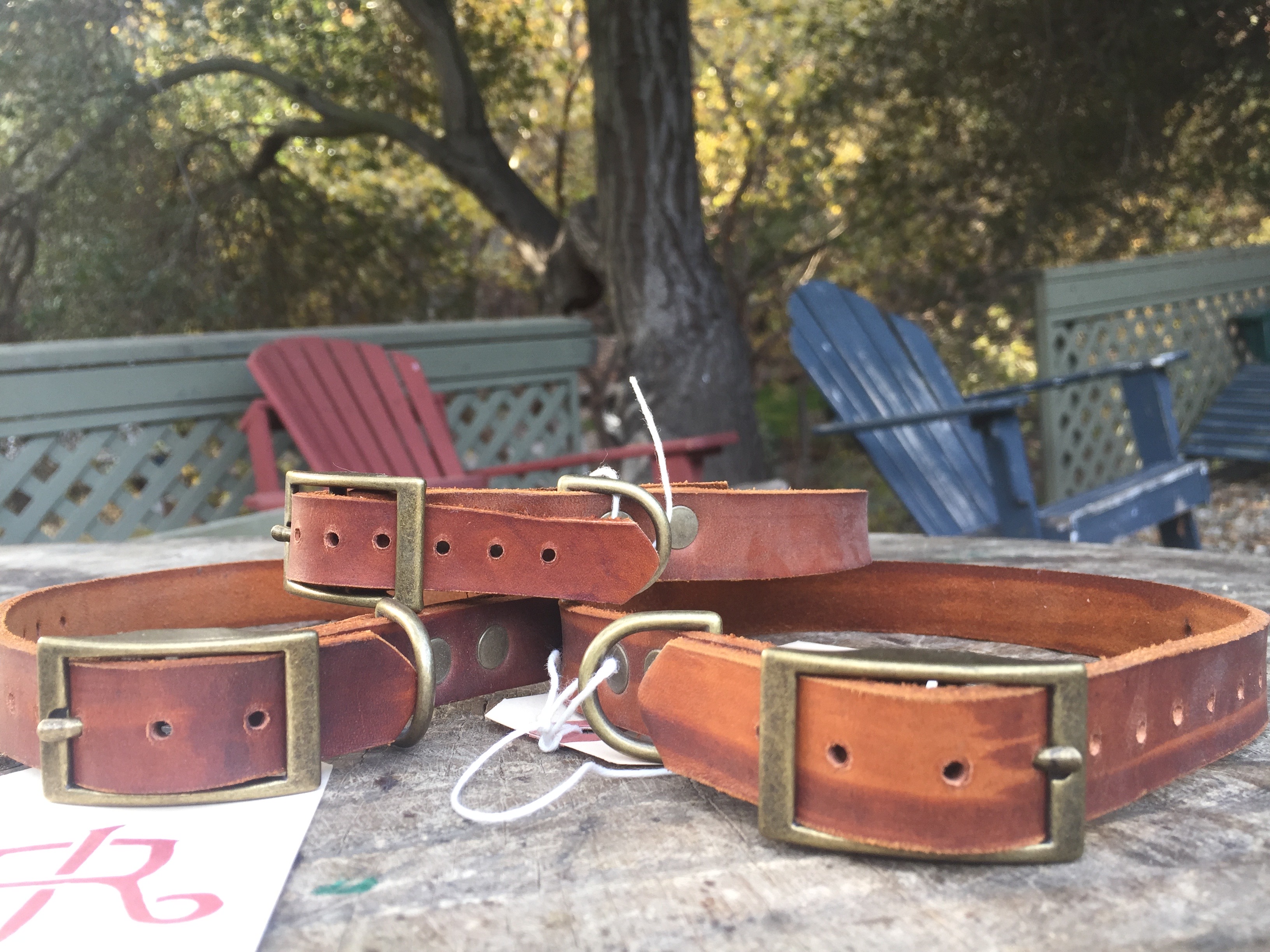 We prepared a handful of Dog Collars for Pup Meet and Greet plus for dogs in general at the Outpost. 