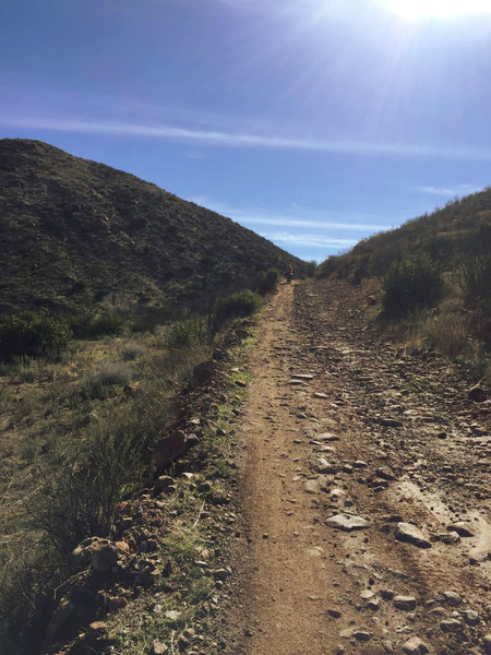 Baja Divide Ride from San Diego to Cabo