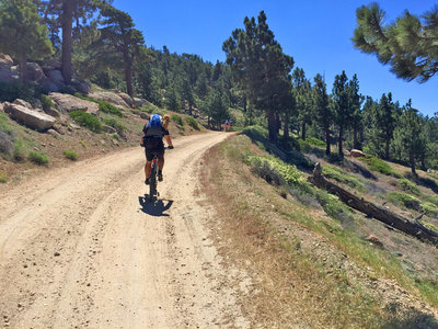 Big Bear Skyline Trail Group Bikepacking