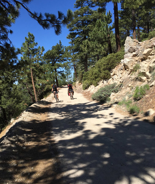 Big Bear Skyline Trail Group Bikepacking