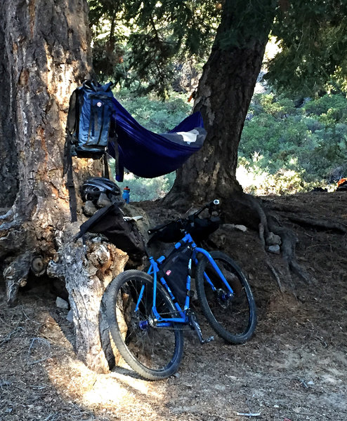 Big Bear Skyline Trail Group Bikepacking