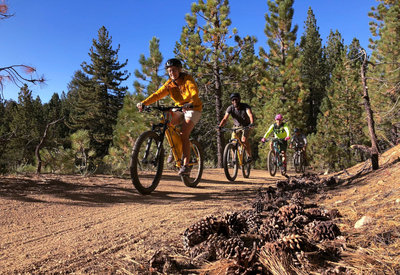 Intergalactic Surly Day Campout in Mount Pinos, CA