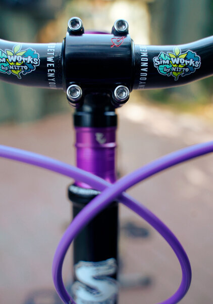 The SimWorks handlebar by Nitto looks total killer on Julia's Bridge Club