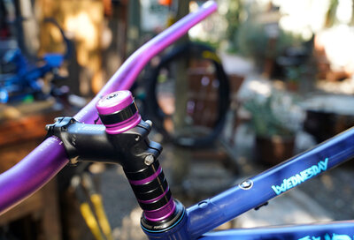 The blue and purple theme looks amazing on this Surly Wednesday for Audrius