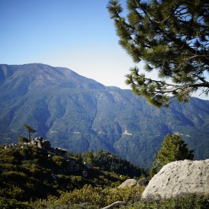 View of the green mountains of Big Bear Lake