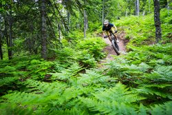 Ryan Krueger riding the Advocate Watchman in Copper Harbor