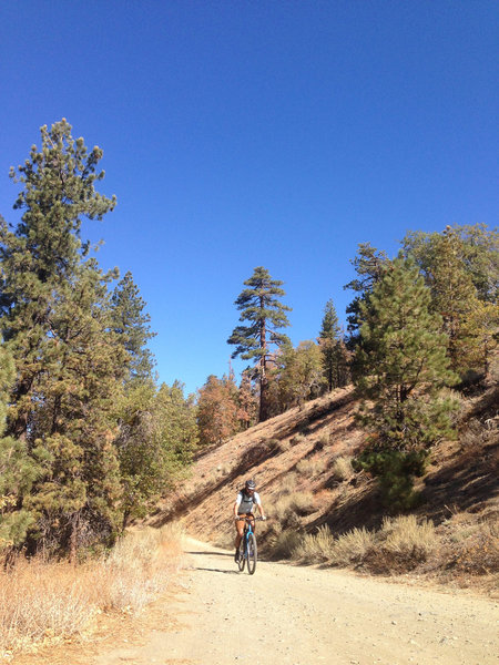 Alamo Mountain Camp and Bike