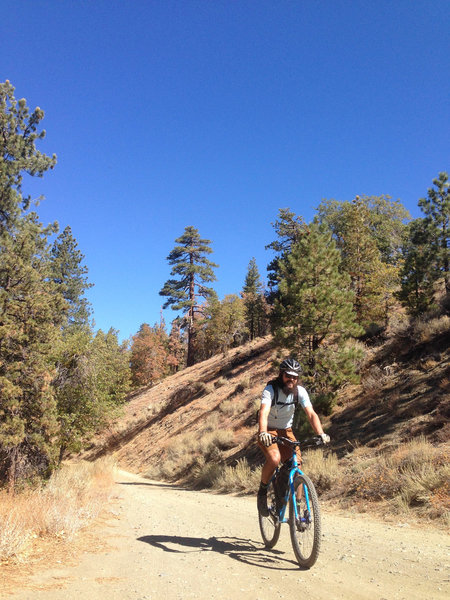 Alamo Mountain Camp and Bike