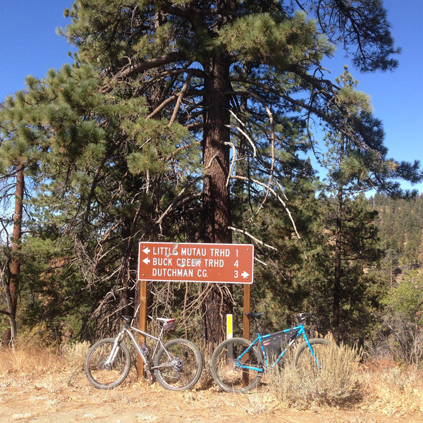 Alamo Mountain Camp and Bike