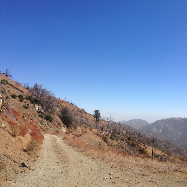 Alamo Mountain Camp and Bike