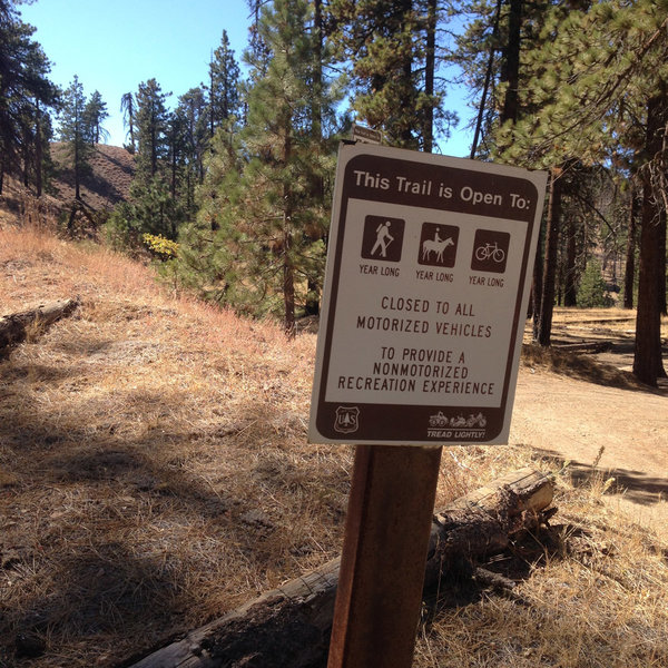 Alamo Mountain Camp and Bike