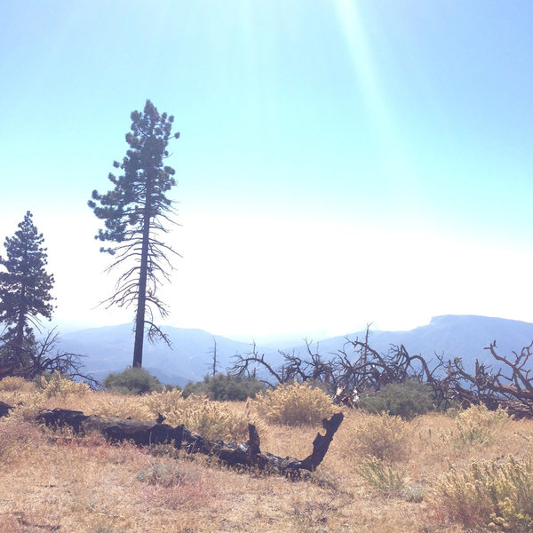 Alamo Mountain Camp and Bike