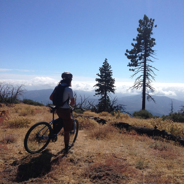 Alamo Mountain Camp and Bike