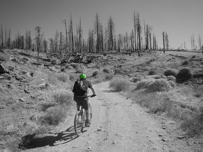 Alamo Mountain Camp and Bike