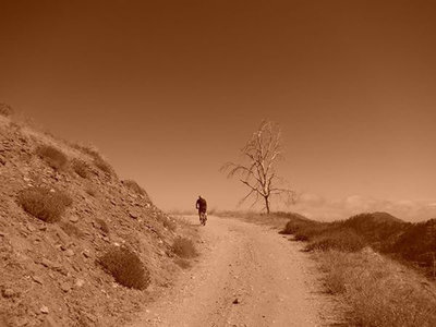 Alamo Mountain Camp and Bike