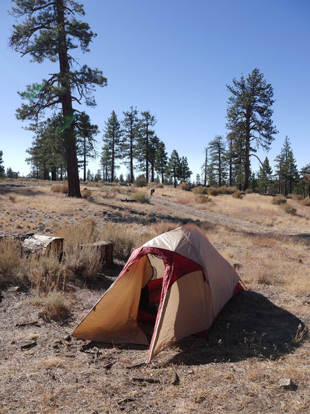 Alamo Mountain Camp and Bike