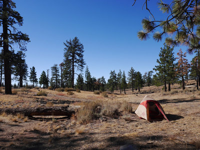 Alamo Mountain Camp and Bike