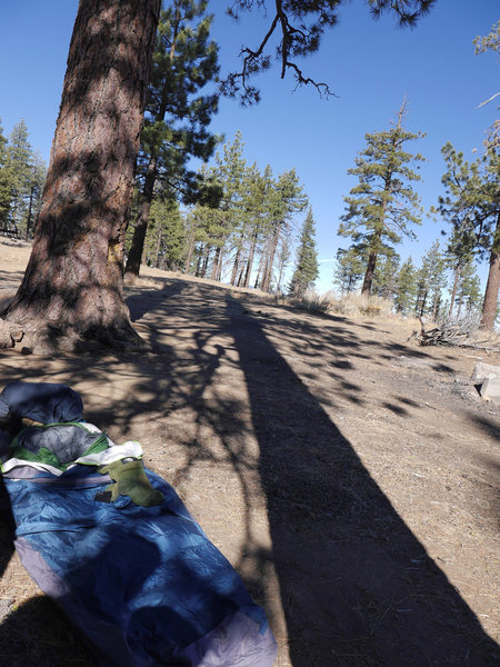 Alamo Mountain Camp and Bike