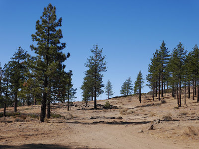 Alamo Mountain Camp and Bike