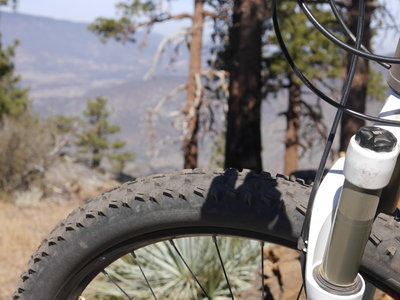 Alamo Mountain Camp and Bike