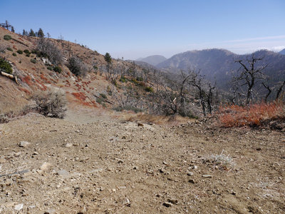 Alamo Mountain Camp and Bike