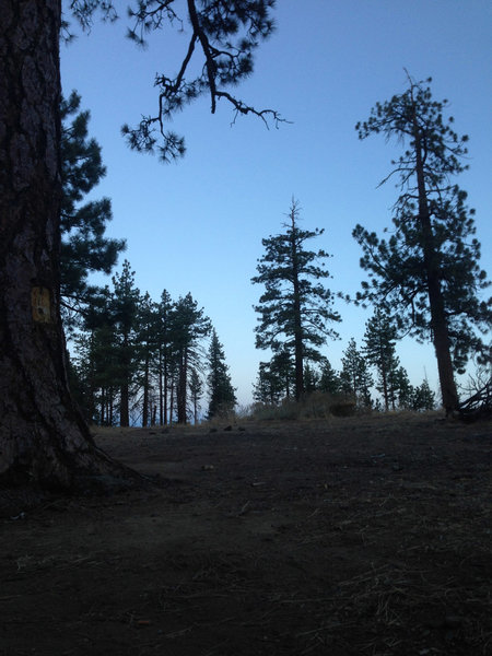 Alamo Mountain Camp and Bike