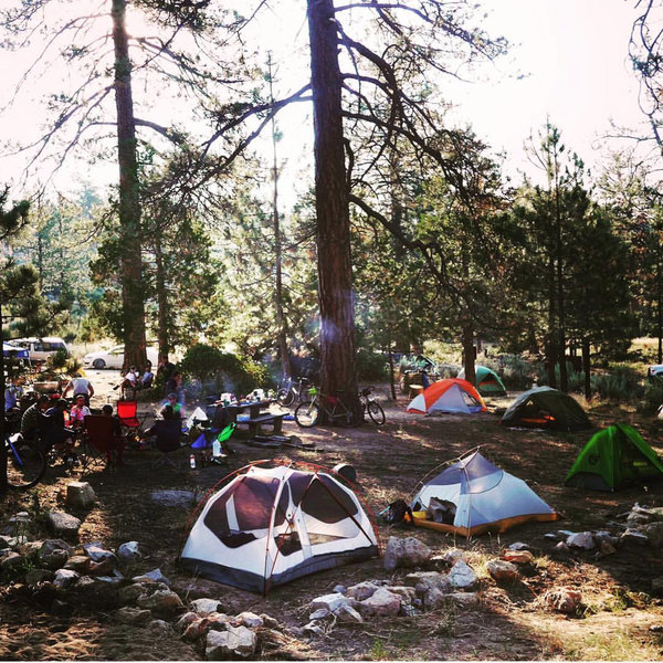 Bandido Group Camp with Salsa and Golden Saddle