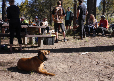 Bandido Group Camp with Salsa and Golden Saddle