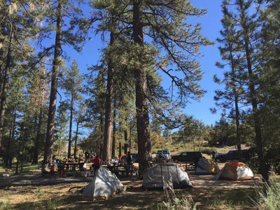 Bandido Group Camp with Salsa and Golden Saddle