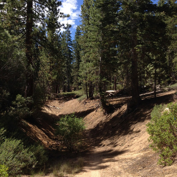 Big Bear Lake Mountain Biking and Camping