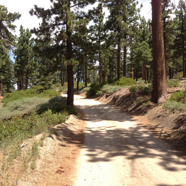 Big Bear Lake Mountain Biking and Camping