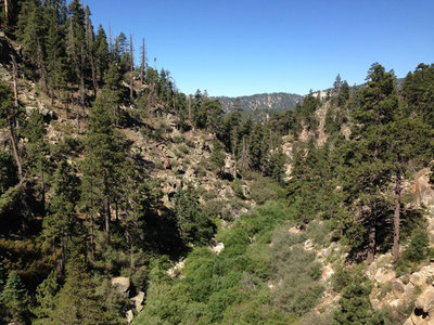 Big Bear Lake Mountain Biking and Camping