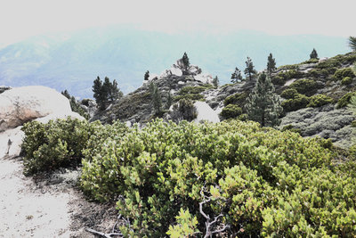 Big Bear Skyline Trail Adventure