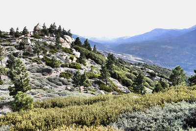 Big Bear Skyline Trail Adventure