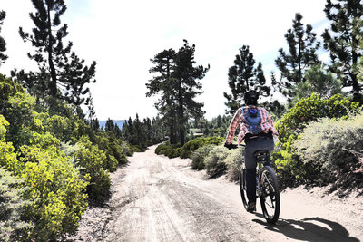 Big Bear Skyline Trail Adventure