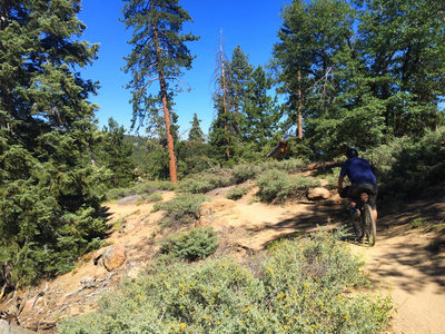 Big Bear Rim of the World Bikepacking Adventure