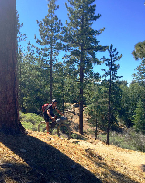 Big Bear Rim of the World Bikepacking Adventure