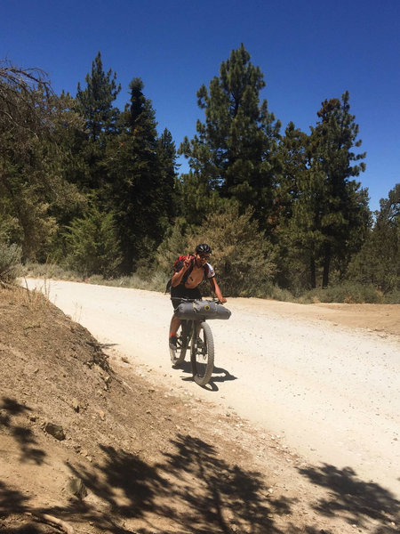 Big Bear Rim of the World Bikepacking Adventure