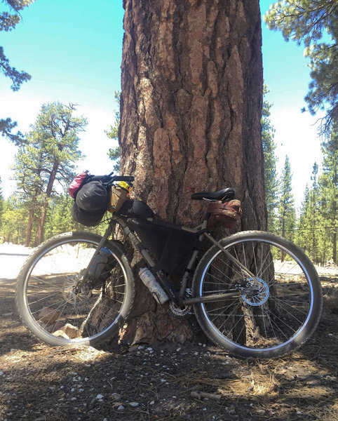 Big Bear Rim of the World Bikepacking Adventure