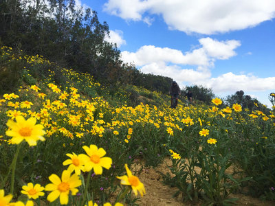 Carrizo Plain National Monument Bikepacking Adventure