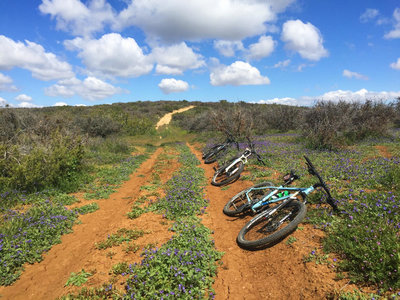 Carrizo Plain National Monument Bikepacking Adventure