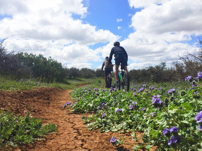 Carrizo Plain National Monument Bikepacking Adventure