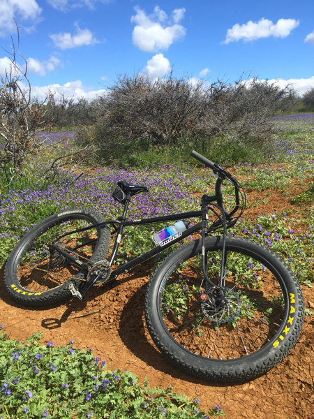 Carrizo Plain National Monument Bikepacking Adventure