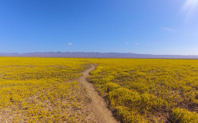 Carrizo Plain National Monument Bikepacking Adventure