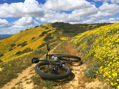 Carrizo Plain National Monument Bikepacking Adventure