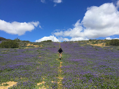 Carrizo Plain National Monument Bikepacking Adventure