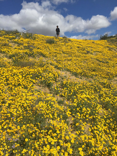 Carrizo Plain National Monument Bikepacking Adventure