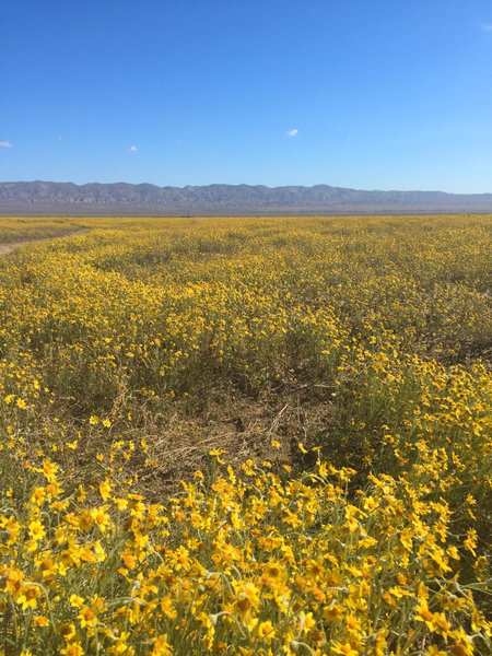 Carrizo Plain National Monument Bikepacking Adventure