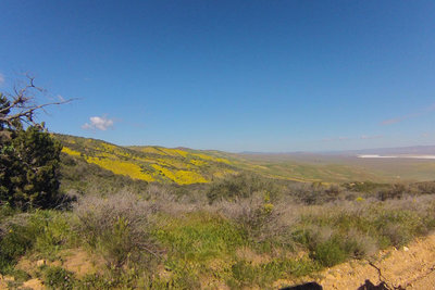 Carrizo Plain National Monument Bikepacking Adventure